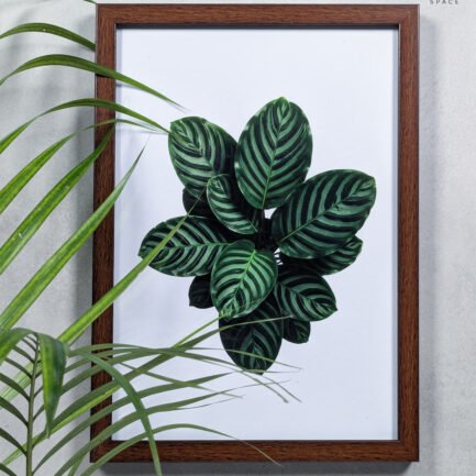 Botanical Dark Green-A4 Framed Artwork – Customizable Fiberglass Frame with Glass