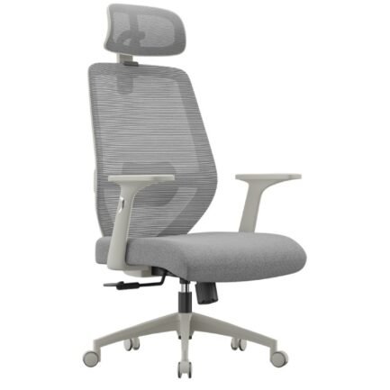 Luna Elite Ergonomic Chair - High Back(Grey)